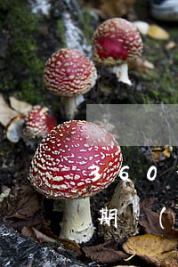 360借條逾期頁(yè)面(360借條逾期過(guò)是不是以后都不讓用了)
