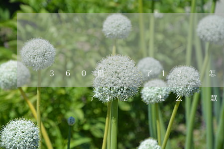 360借條過了12點怎么還款-360借條過了12點怎么還款呢