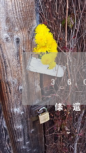 360借條還款了還給我打電話-360借條還款了還給我打電話怎么回事