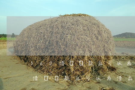 360借條還款后可以再借出來嗎-360借條還款后可以再借出來嗎安全嗎