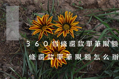 360借條還款單筆限額怎么辦-360借條還款單筆限額怎么辦理