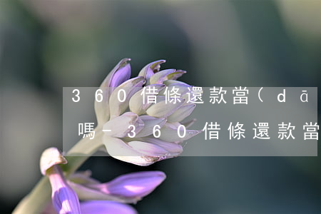 360借條還款當(dāng)中可以再借嗎-360借條還款當(dāng)中可以再借嗎安全嗎