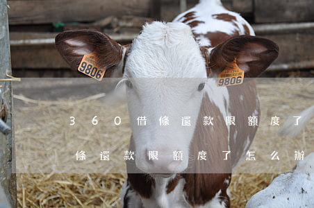 360借條還款限額度了怎么辦-360借條還款限額度了怎么辦啊