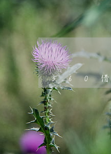 360借條里的智信逾期(360借條)