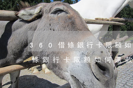360借條銀行卡限額如何還款-360借條銀行卡限額如何還款的