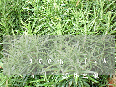 360借條長(zhǎng)期逾期會(huì)被外包催債嗎-360借條長(zhǎng)期逾期會(huì)被外包催債嗎知乎