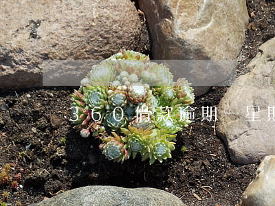 360借款逾期一星期 360借條逾期一周