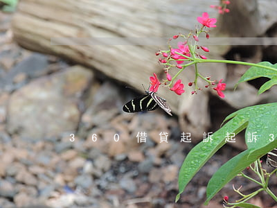 360借貸起訴（起訴360捆綁軟件）