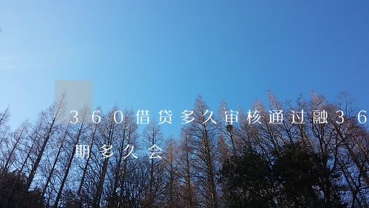 360借贷多久审核通过（融360极速贷逾期多久会）