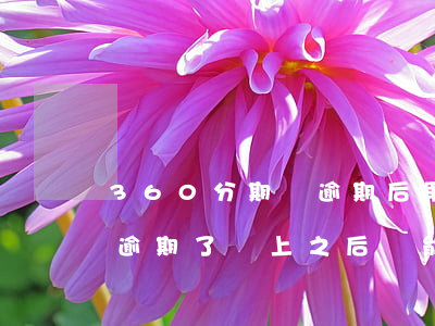 360分期貸逾期后果(360借條分期貸款逾期了還上之后還能借嗎)