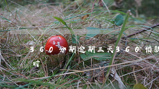 360分期逾期三天(360借款逾期几个小时)