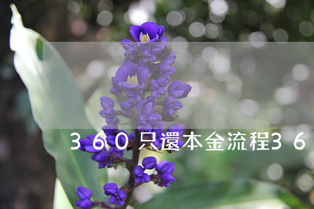 360只還本金流程 360借條還本金