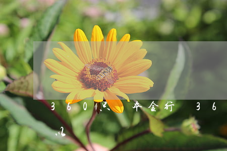 360只還本金行嗎(360借條只還本金可以嗎)