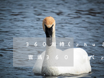 360周轉(zhuǎn)靈逾期一天有影響嗎(360周轉(zhuǎn)靈逾期一天有影響嗎)