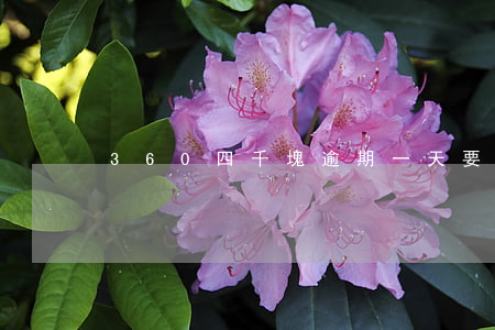 360四千塊逾期一天要40塊