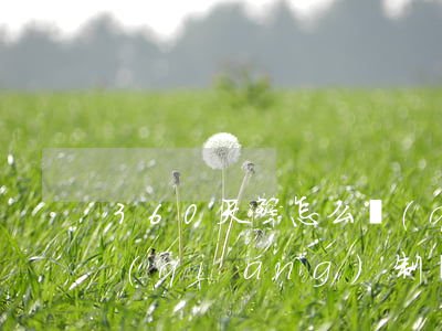 360天擎怎么強(qiáng)制退出(強(qiáng)制關(guān)閉360天擎)