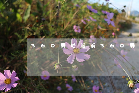 360异地起诉(360异地起诉合法吗?)