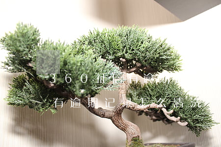 360征信有逾期记录怎么清洗(360征信有逾期记录怎么清洗)