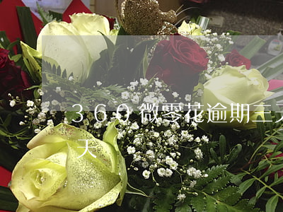 360微零花逾期三天（360微零花逾期三天）