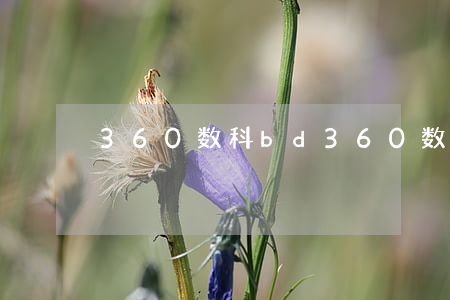 360数科bd（360数科批量起诉）