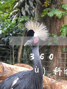360數(shù)科逾期（360數(shù)科逾期）