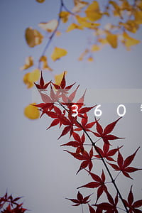 360智信嚴重逾期是多長時間-