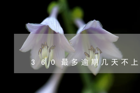 360最多逾期几天不上征信