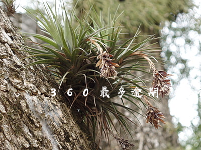 360最多逾期幾天不上征信