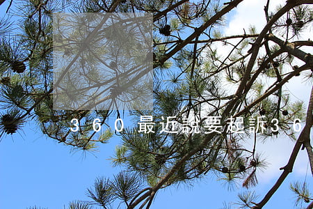 360最近說要起訴（360起訴周期）