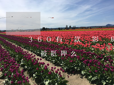 360有貸款會影響房貸嗎（360逾期房子會被抵押么）