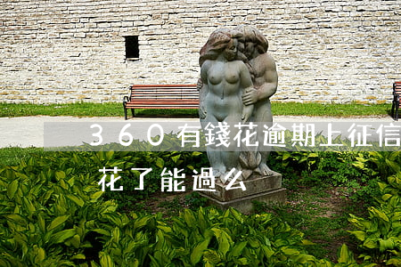 360有錢花逾期上征信嗎 360借條征信花了能過么