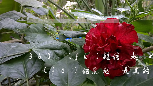 360發(fā)短信說起訴我 360貸款發(fā)信息起訴是真的嗎