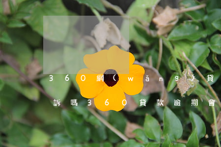 360網(wǎng)貸逾期一千塊錢會起訴嗎(360貸款逾期會被起訴嗎?真還不上怎么辦)