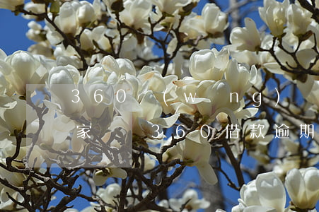 360網(wǎng)貸逾期會(huì)家訪嗎(360借款逾期一天就會(huì)聯(lián)系親朋好友么)