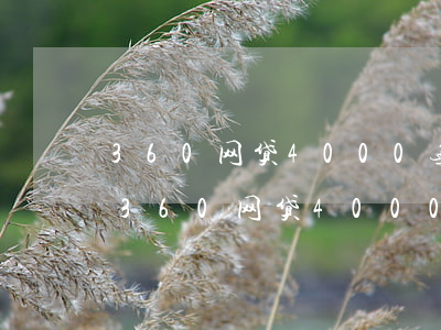360网贷4000无力偿还我怎么处理-360网贷4000无力偿还我怎么处理呢