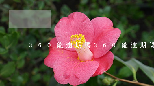 360能逾期嗎(360能逾期嗎)