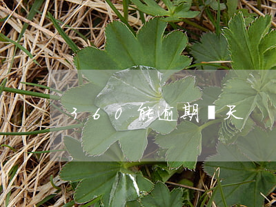 360能逾期幾天
