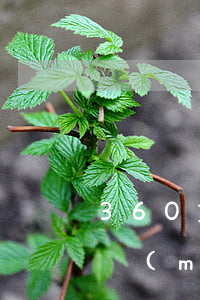 360貸款沒(méi)有逾期(360貸款沒(méi)還會(huì)怎樣)