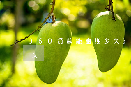 360貸款能逾期多久(360貸款能逾期多久)