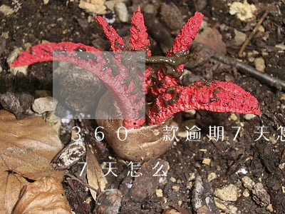 360貸款逾期7天怎么樣(360貸款逾期7天怎么樣)