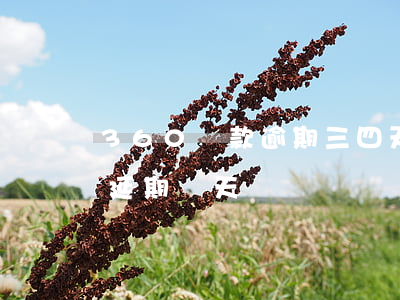 360貸款逾期三四天(360貸款到期可以延期幾天)