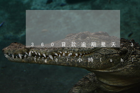 360貸款逾期幾天-360借款逾期幾個(gè)小時(shí)