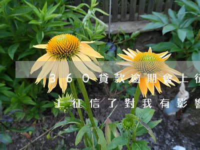 360貸款逾期會上征信嗎(360逾期四天上征信了對我有影響嗎買房貸款)