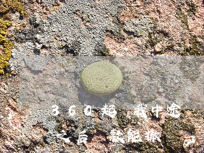 360起訴我中途違約(360借條逾期起訴之后還款能撤銷嗎?)