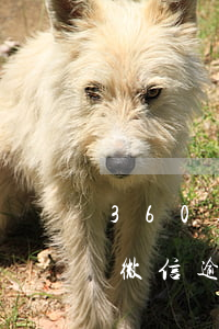 360逾期16天一直给我发微信还说告我（微信逾期三天把我告了）