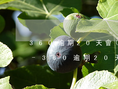 360逾期20天會(huì)收到催賬嗎-360逾期20天會(huì)收到催賬嗎是真的嗎