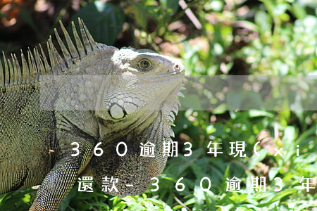 360逾期3年現(xiàn)在想還怎么還款-360逾期3年現(xiàn)在想還怎么還款呢