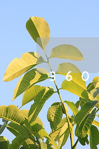 360逾期一个礼拜-360逾期一个礼拜