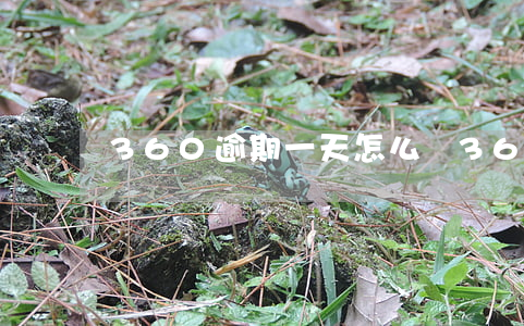 360逾期一天怎么辦 360逾期的怎么做