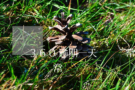 360逾期一天賬號異常(360逾期一天賬號異常)